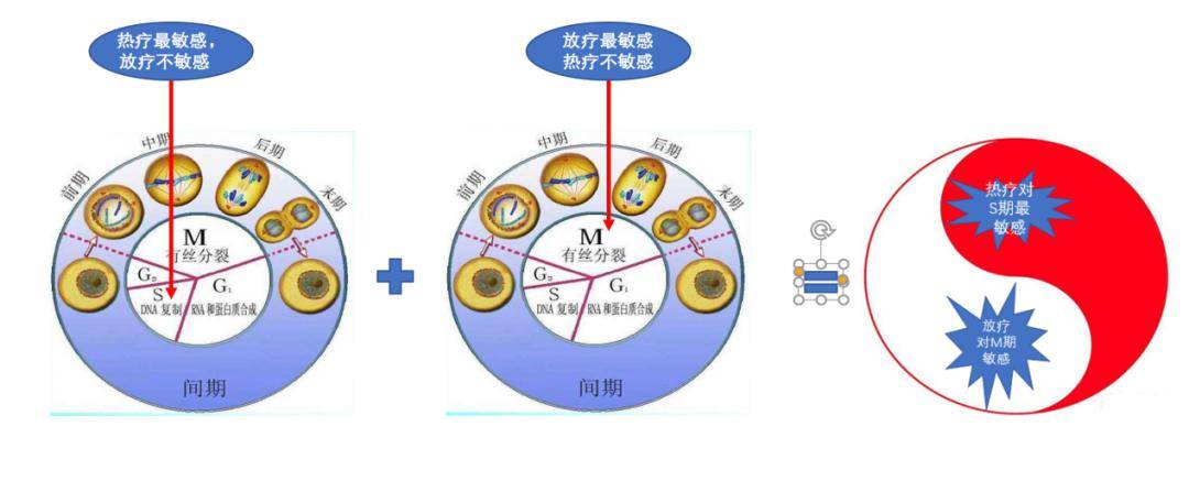肿瘤热疗,你了解多少?