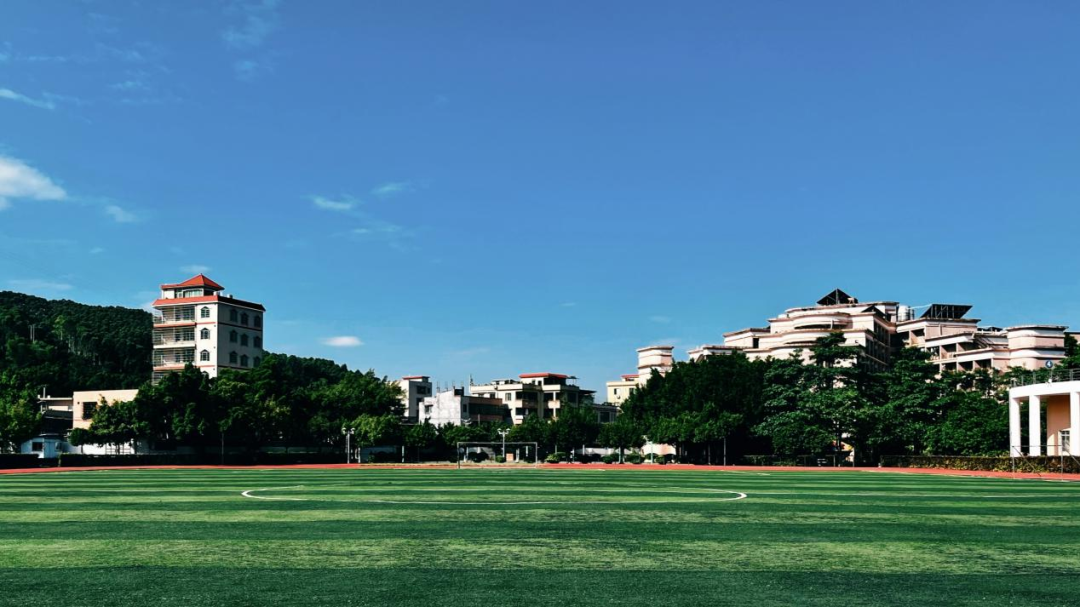 2024华珠专属壁纸岁月斑驳遥寄一片落金