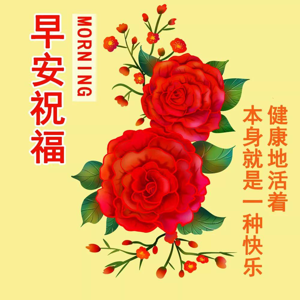 最新早上好早安祝福聊天动态图片