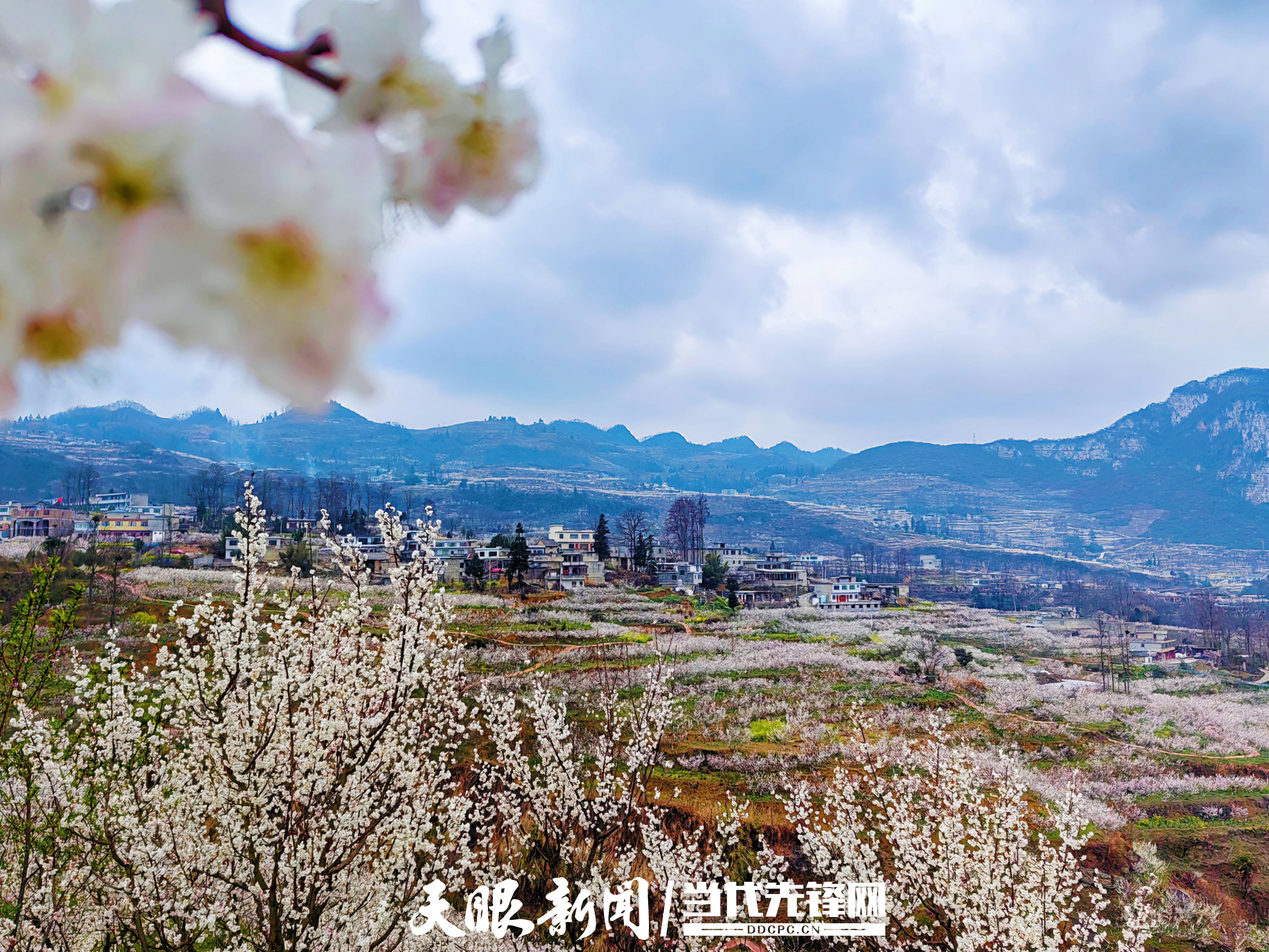 织金县马场镇有花香有幸福