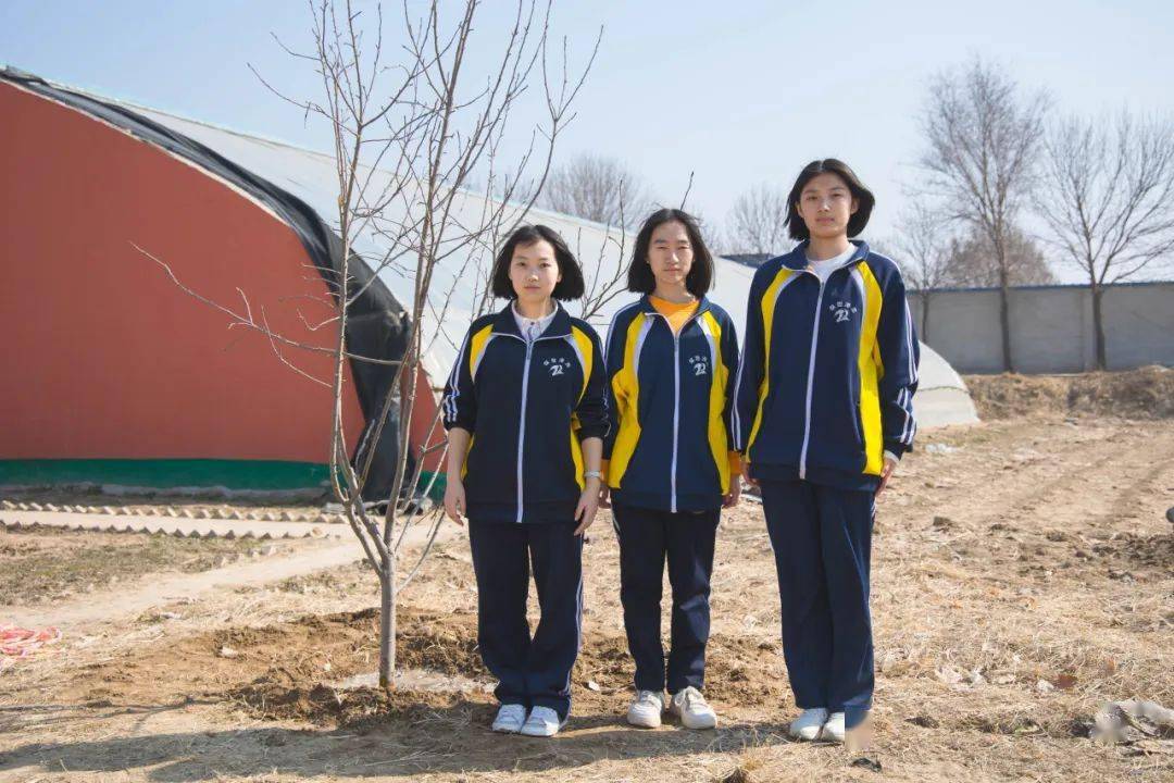 保定泽龙学校开展劳动教育实践活动!_土豆_树苗_种植