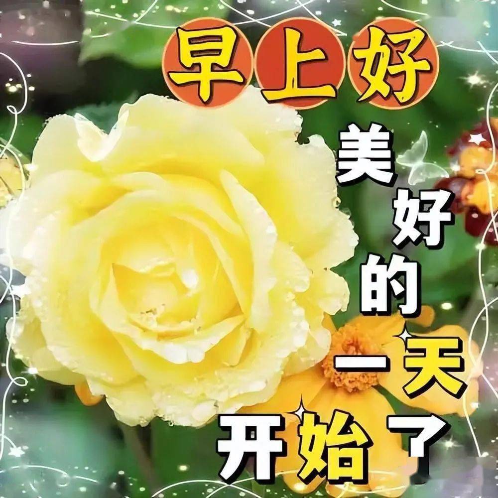 今日最新早上好温馨问候祝福图片,清晨早安问候短句子大全!