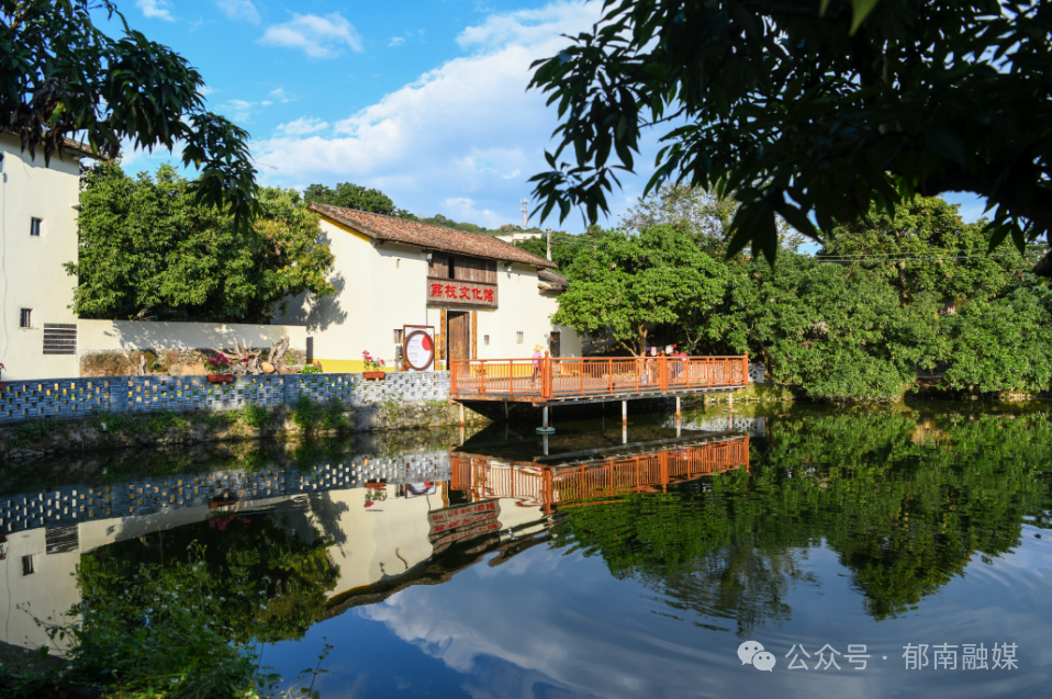 聚焦"百县千镇万村高质量发展工程"丨郁南县宝珠镇:"三个关键"绘就"百