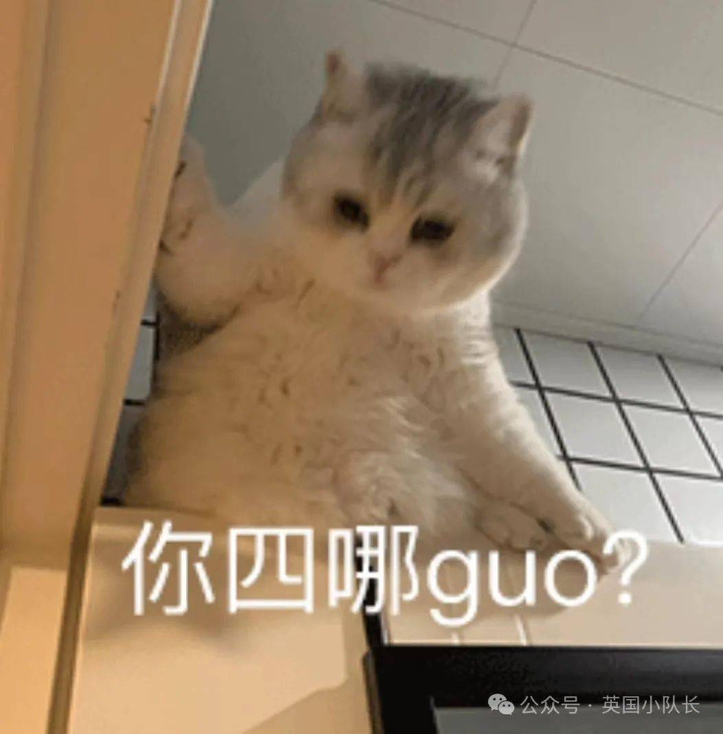 突发谢菲尔德大学校外两起持刀袭击凯特王妃爆新照英国