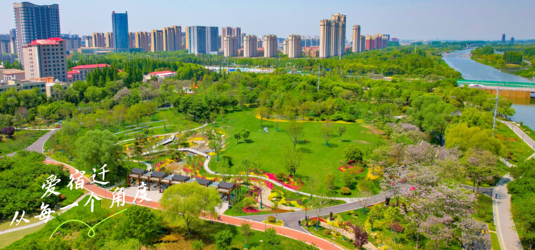 宿豫区领导干部任职前公示_街道_宿迁_乡镇