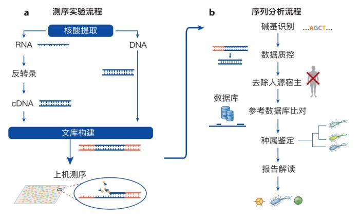 DNA测序图图片