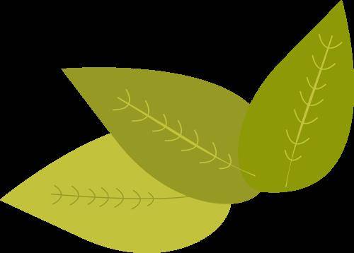 症状_泪液_角膜