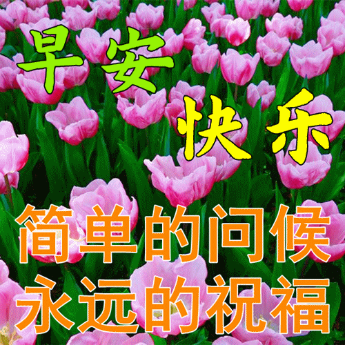 漂亮早上好动态表情图片大全!好运相伴,幸福相随!