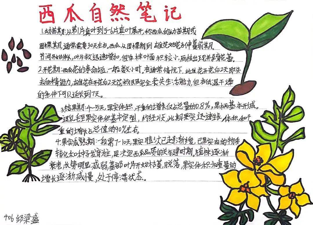 "四大名著"如璀璨明珠,照亮文学艺术的星空,品读名著,绘制手抄报,思维