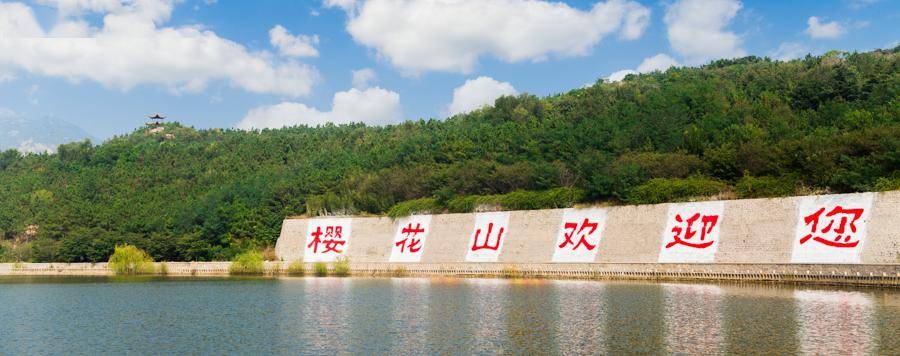 樱花山风景区占地约3600亩,东为湖,西为岭.