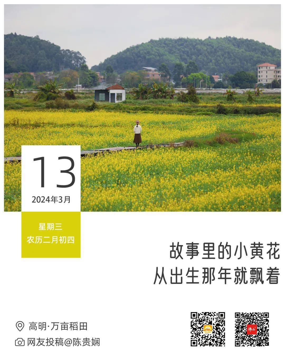 你好佛山故事里的小黄花从出生那年就飘着