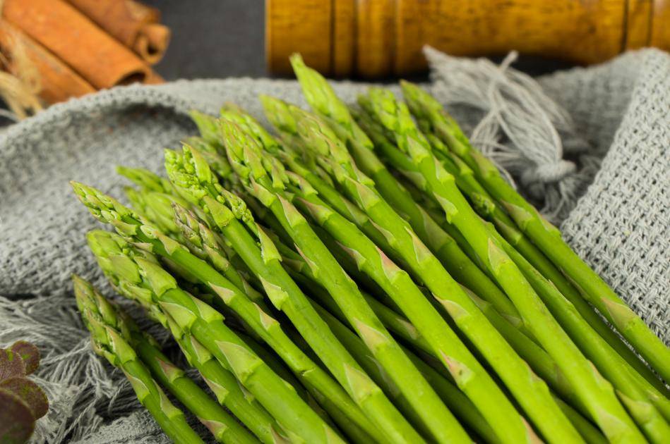 有些地方又叫龙须菜,蚂蚁杆,猪尾巴等.