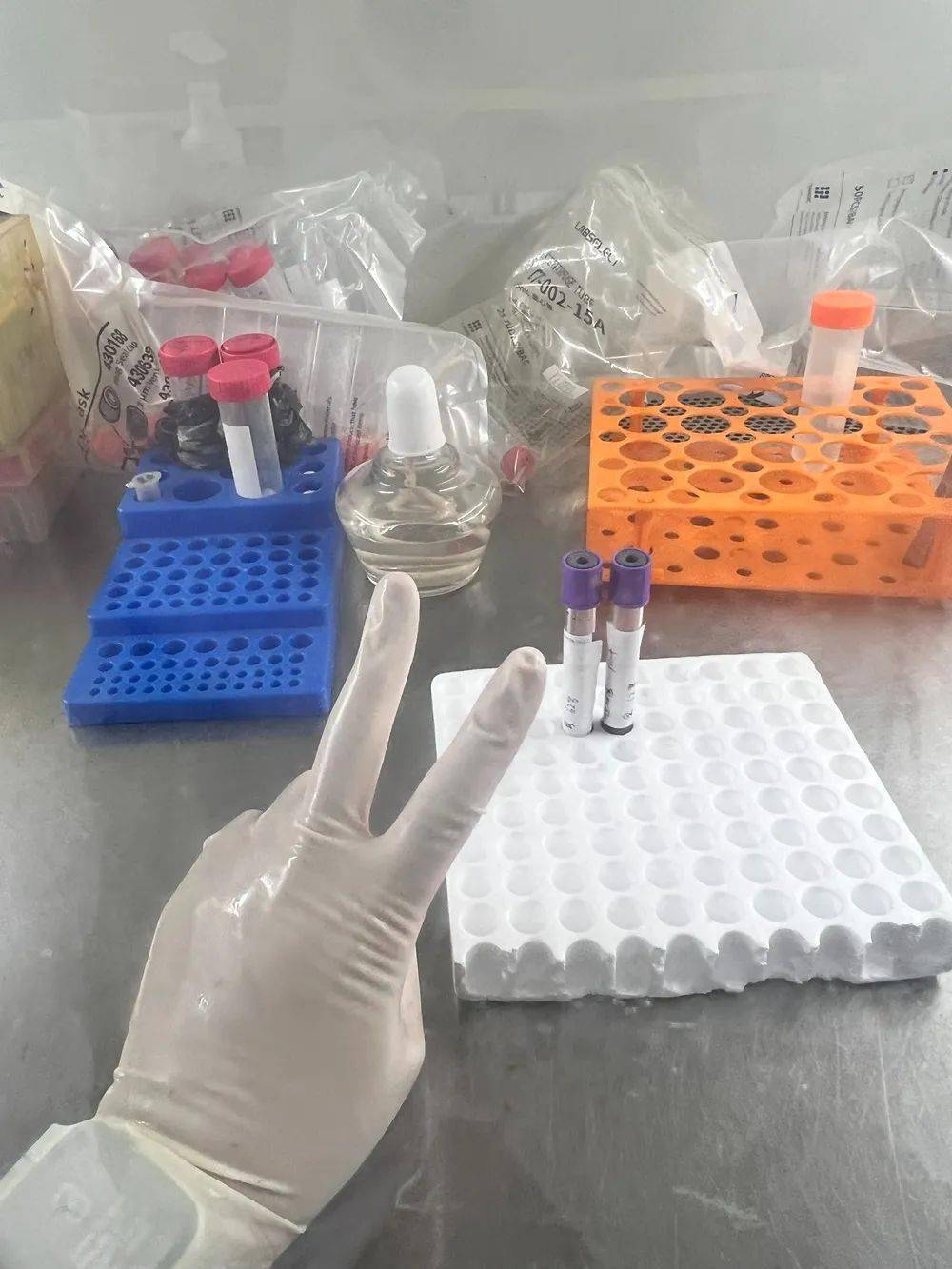 dku的跨学科学习环境有助于我全面考虑社会,遗传和环境等各种因素,并