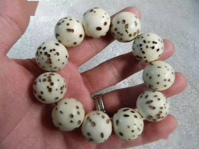 这种神圣的菩提子曾经风靡整个市场现在还有人玩么