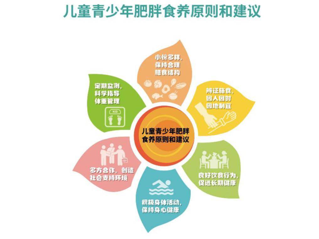 体重管理指导，你的健康守护者