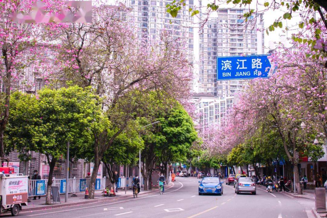 接下来的广西,绝美!_柳州_桂林_公园