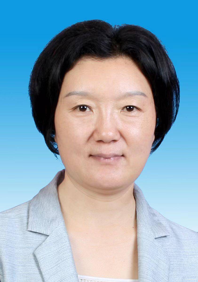 岳青开封市产城融合示范区党工委副书记,管委会主任,祥符区委副书记