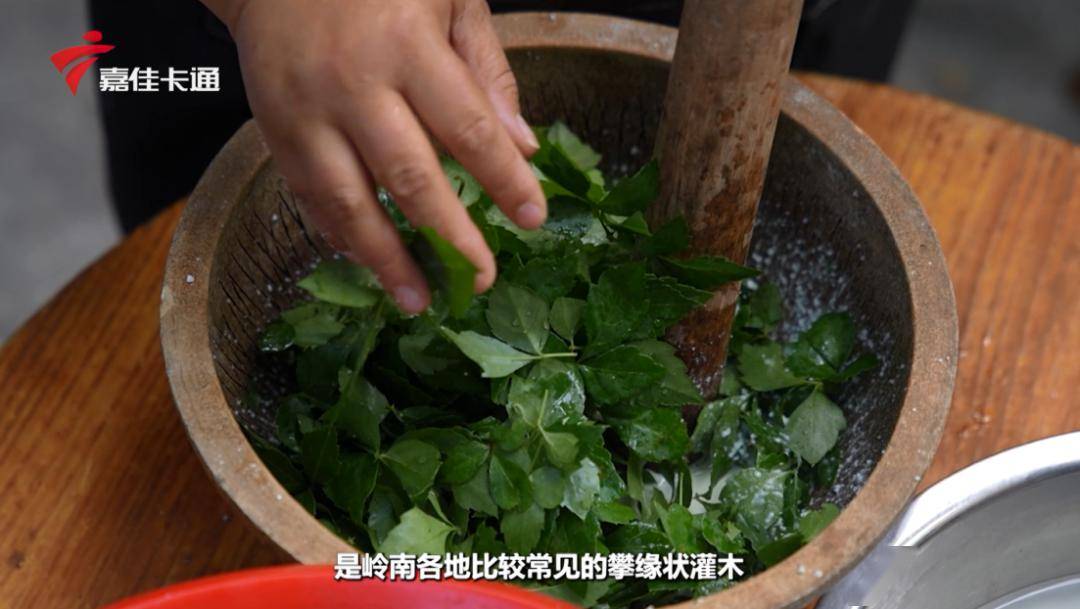 >>>南屏刺笋糊的特点   南屏刺笋糊第2站跟着小体验官们一起去瞧一瞧