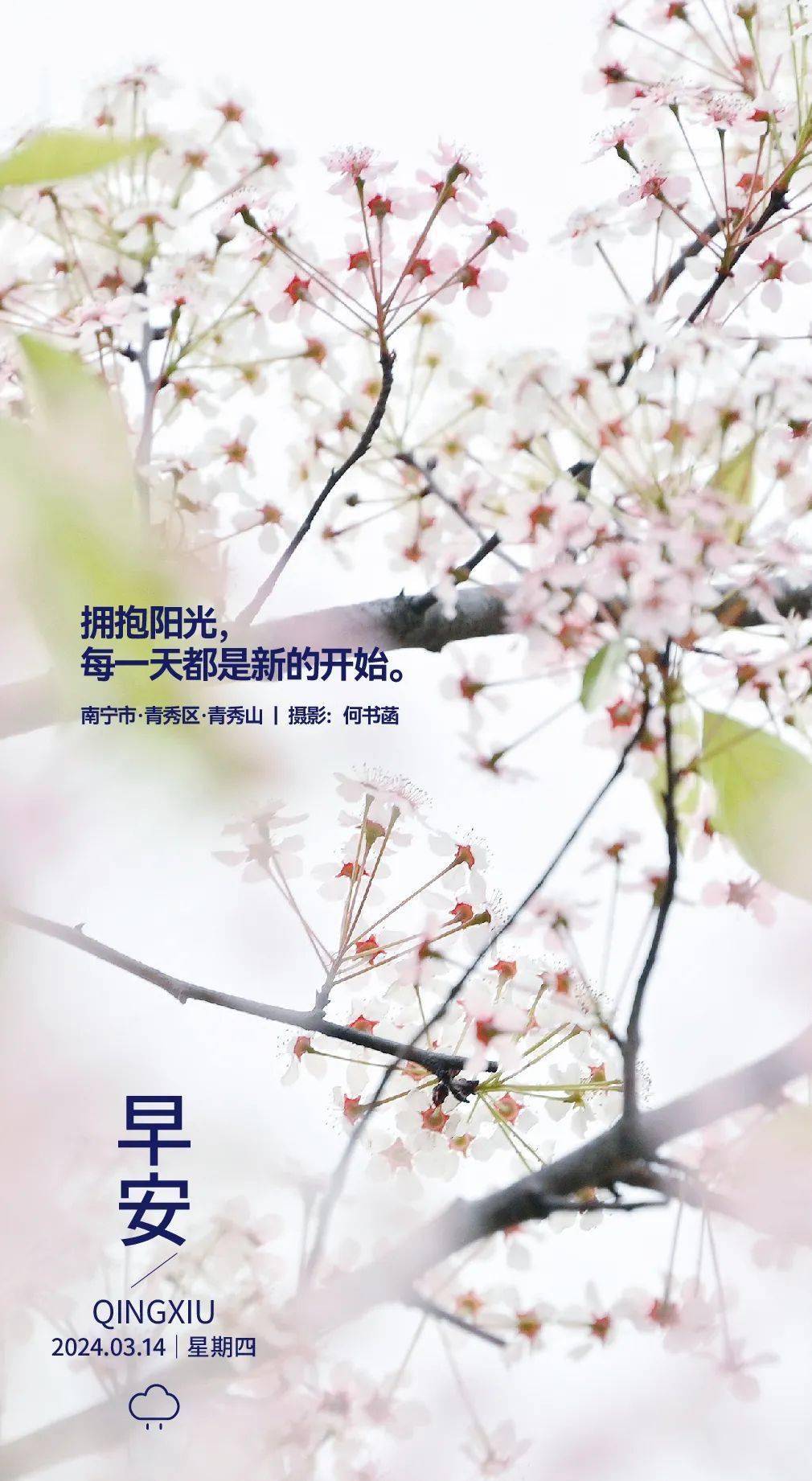 早安青秀拥抱阳光每一天都是新的开始