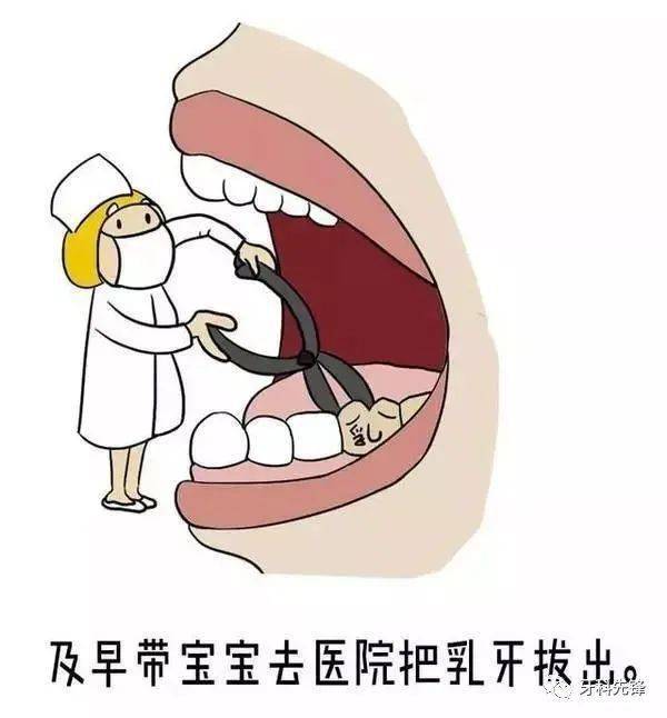 乳牙_恒牙_牙齿