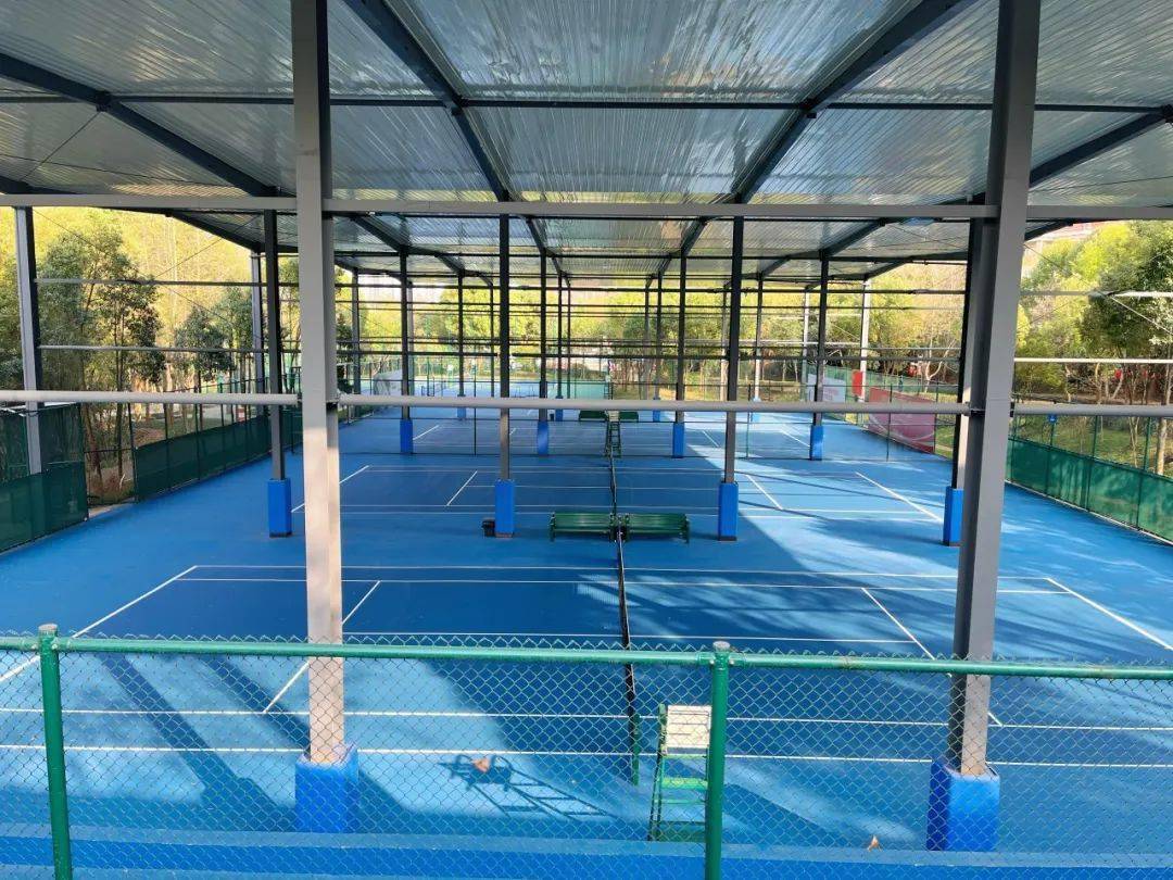 赣州市青少年网球俱乐部全年网球积分赛事计划