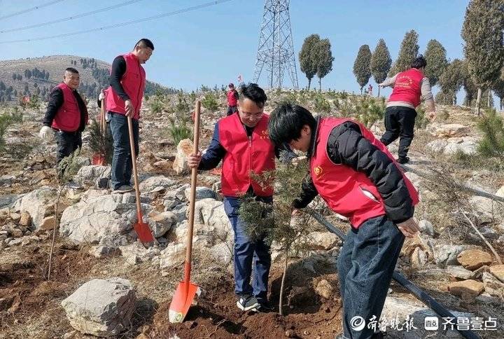 完美电竞累计栽种树木331株济宁泗水志愿者植树造林在行动