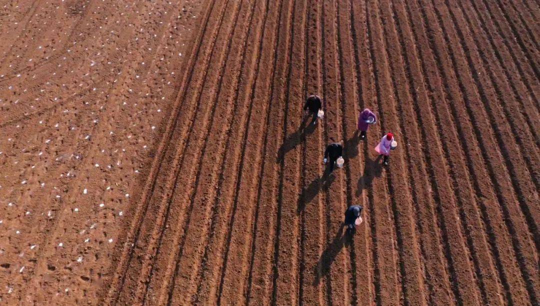 春回大地暖,春耕春播进行时→ | 图瞰风云_摄影_村民_江西省