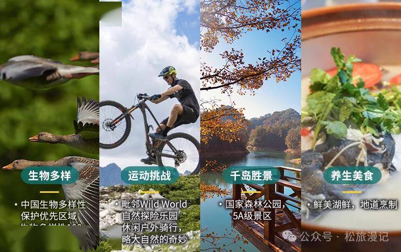 春促下半场主力还是ta