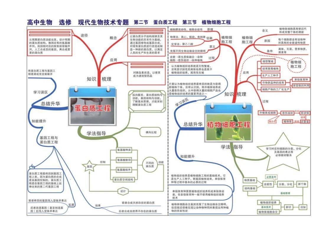 【高中生物】全套思维导图(高清版)