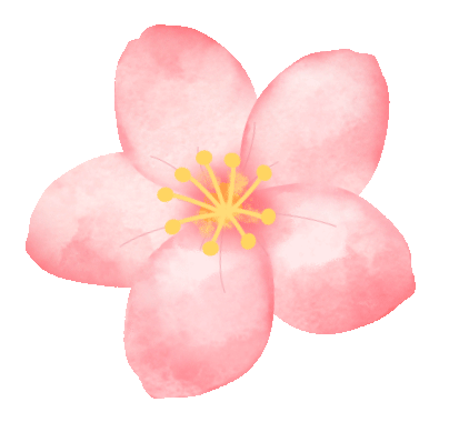 春日限定的粉色浪漫,美到窒息~_樱花_人民公园_古柏