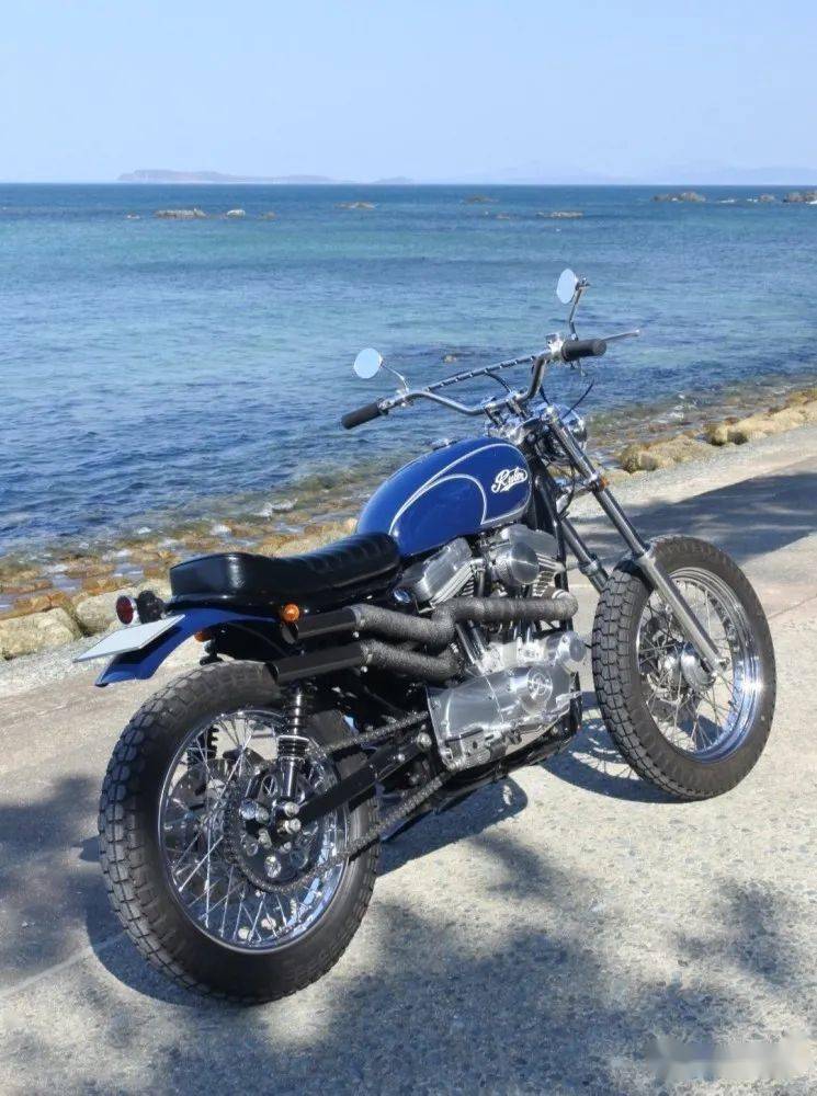 优雅又够硬汉:哈雷 883 攀爬者 | 每日一车_搜狐汽车_搜狐网