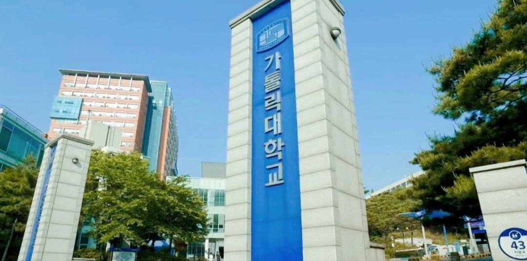 招生简章2024年9月入学加图立大学本科新入