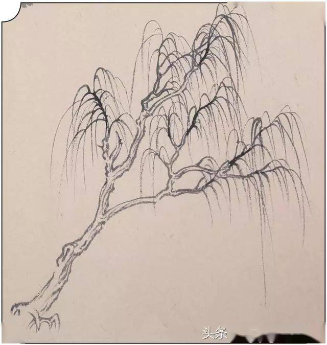 山水画技法教程各种树的基本画法