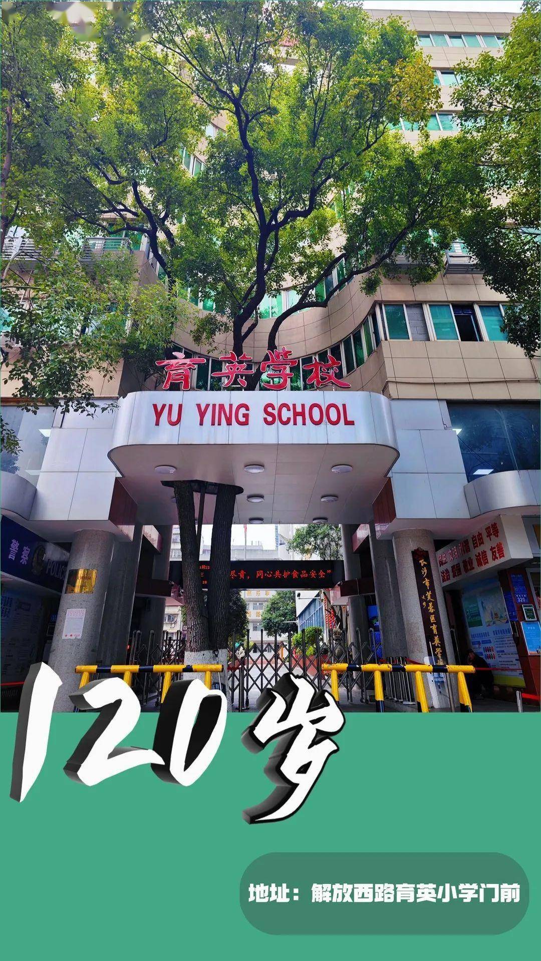 古树不语却陪伴城市生长