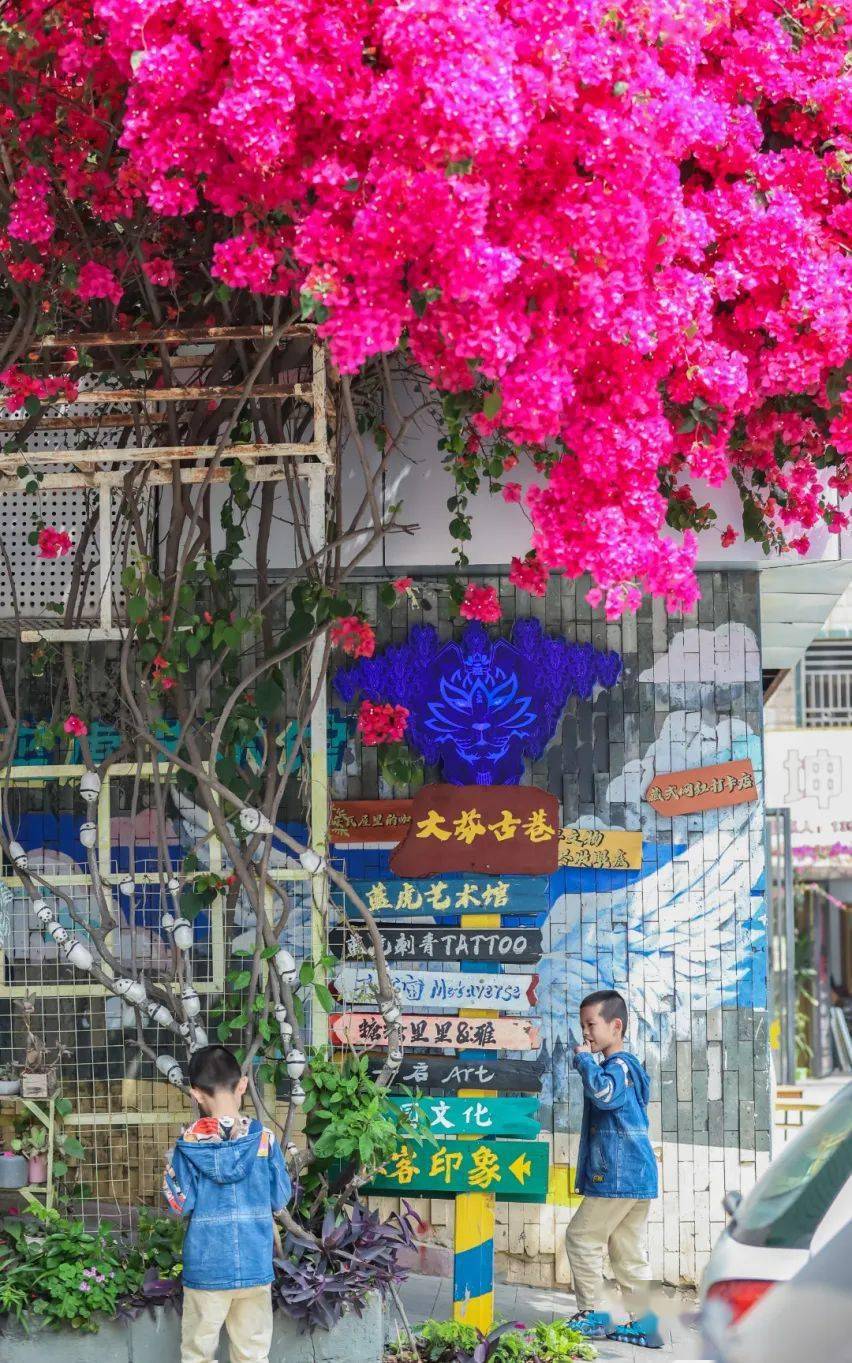 公园长椅任思绪飘远是漫步放空的绝佳去处春光如此明媚岂能错过花开的