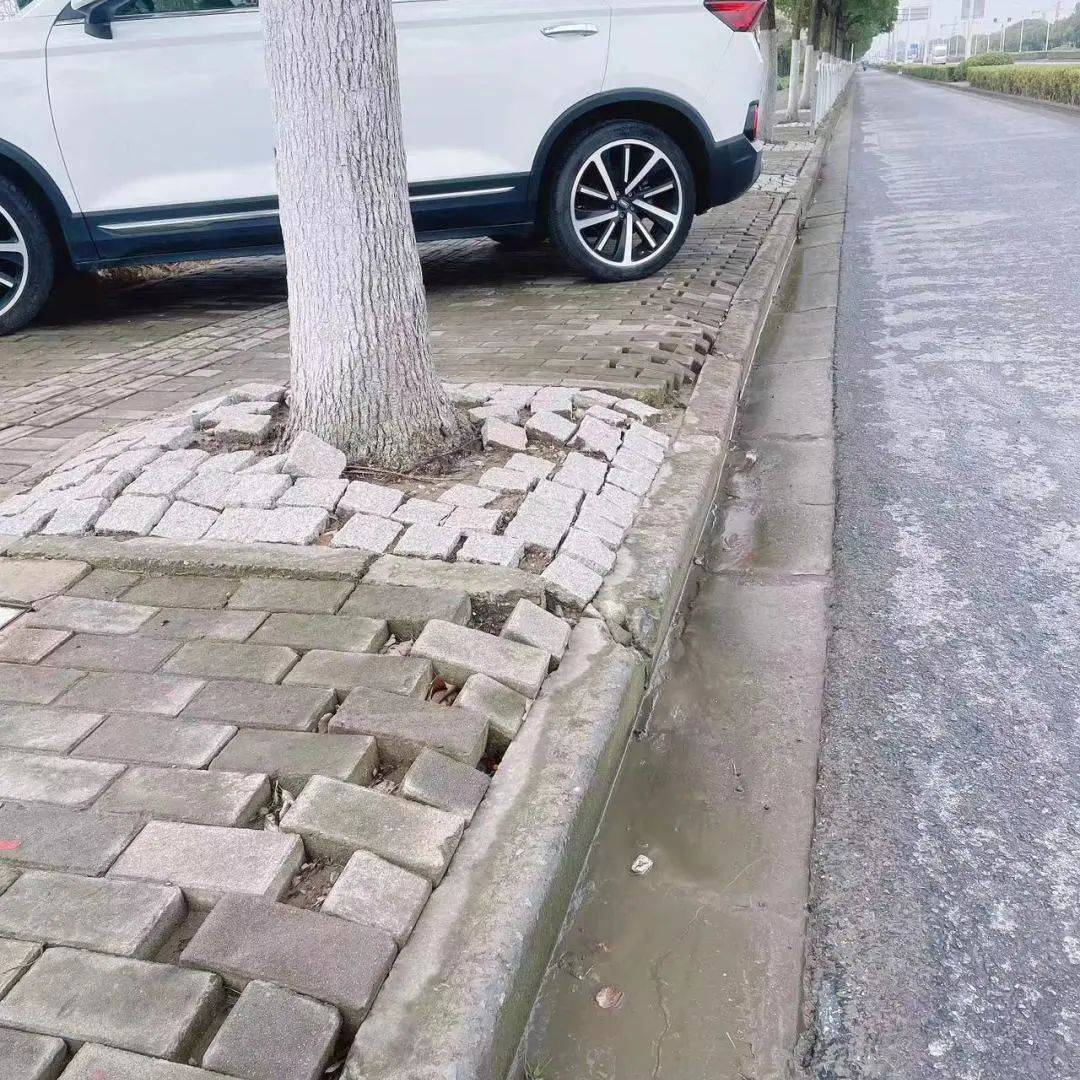 以考核促提升曹路镇第三批城市运行考核阶段性排名榜公布