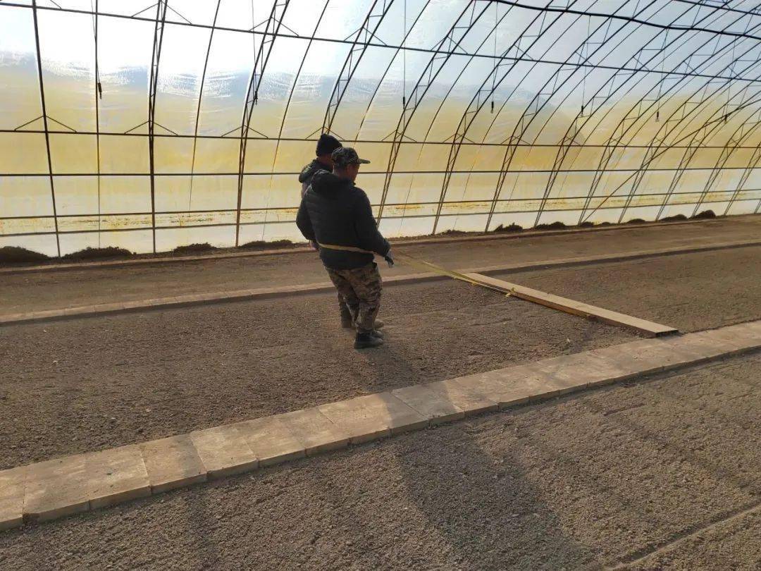 【856·基讯】精细化平床提标准 夯实基础育壮苗_作业_苗床_管理区