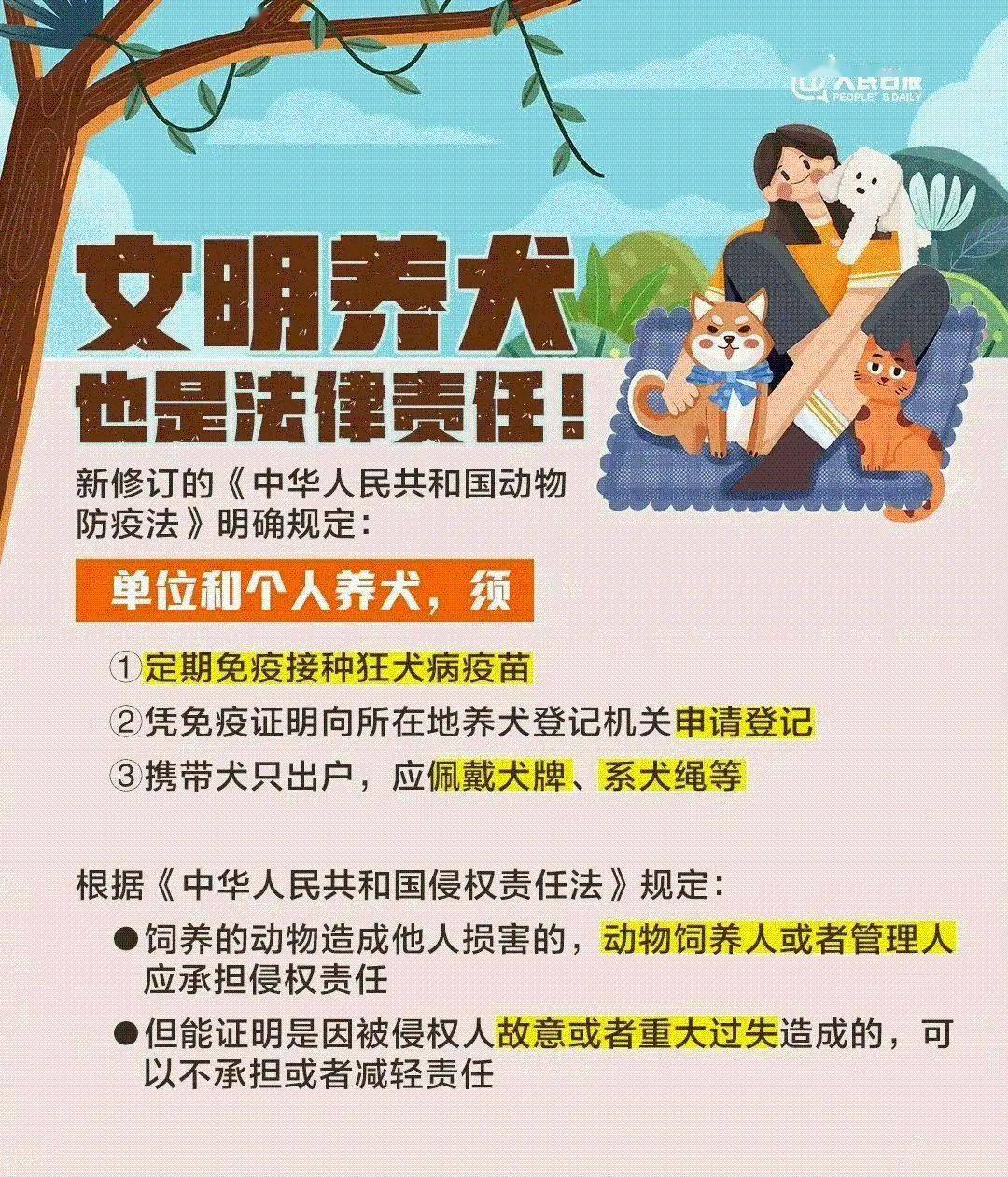 文明养犬从你我做起
