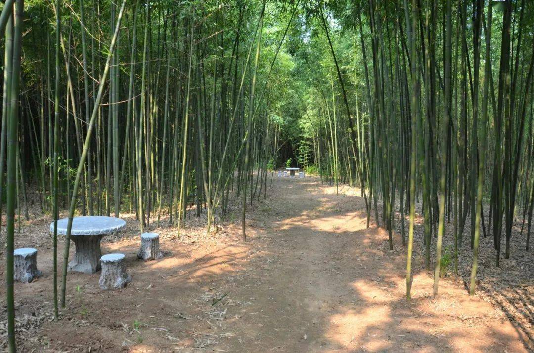 【昌邑61青山秀水】国家aaaa级旅游景区—潍坊青山秀水欢迎您!