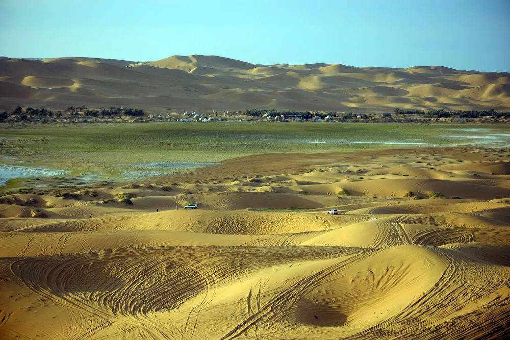 央媒关注|绿"锁"黄沙:中国北部沙漠的"植物活沙障"_内蒙古_正蓝旗