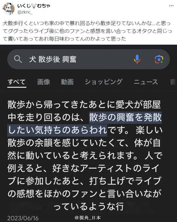 今日趣闻企鹅下蛋的珍贵瞬间狗散步回来喜欢窜来窜去的原因找到了等