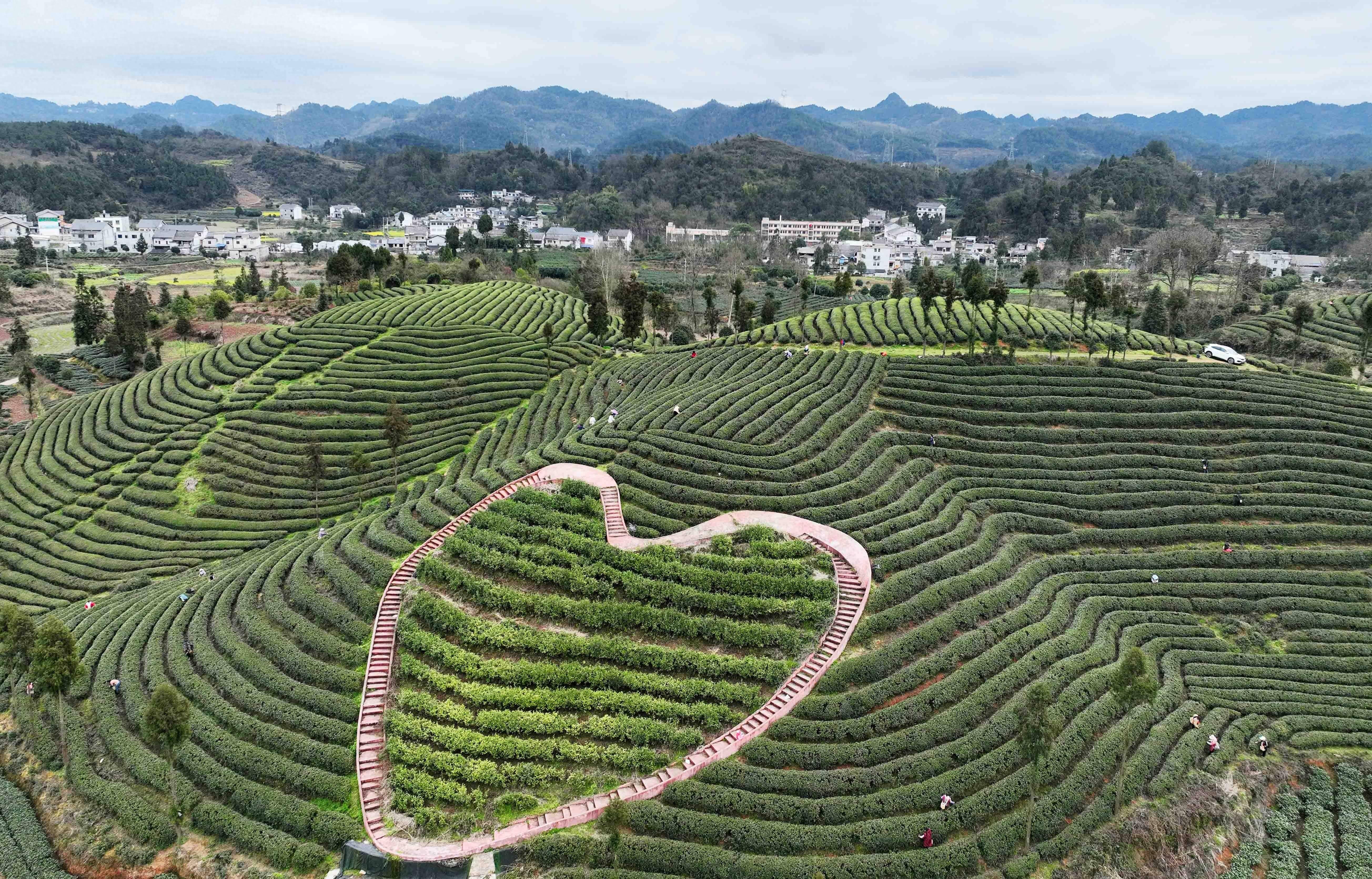 凤冈的旅游景点图片