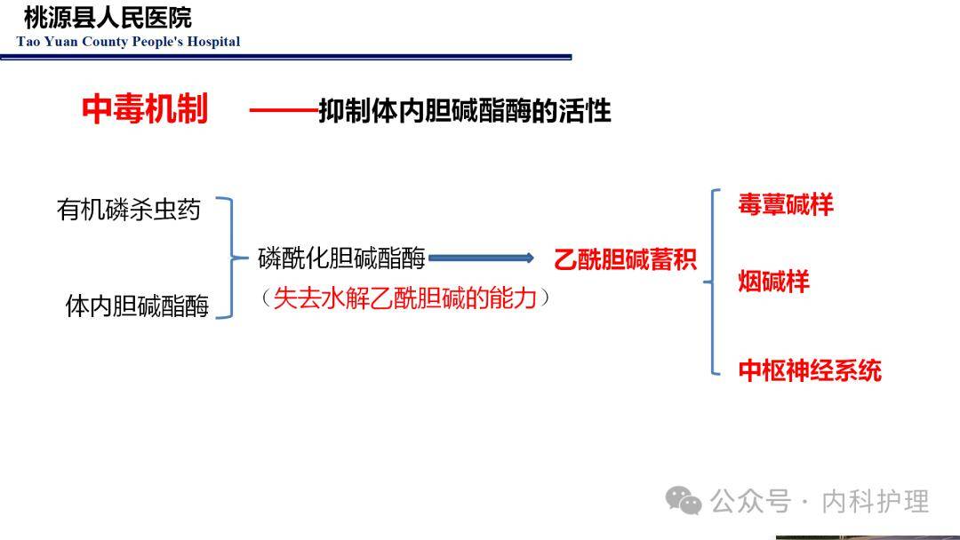 农药中毒途径图片