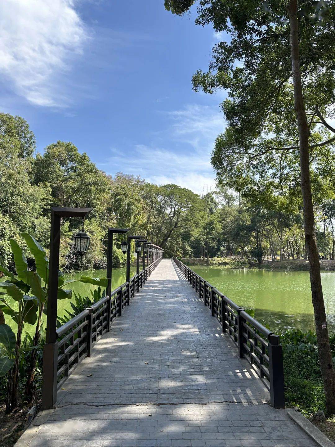 请收下这份清迈私人旅行清单_roast_ry_古城