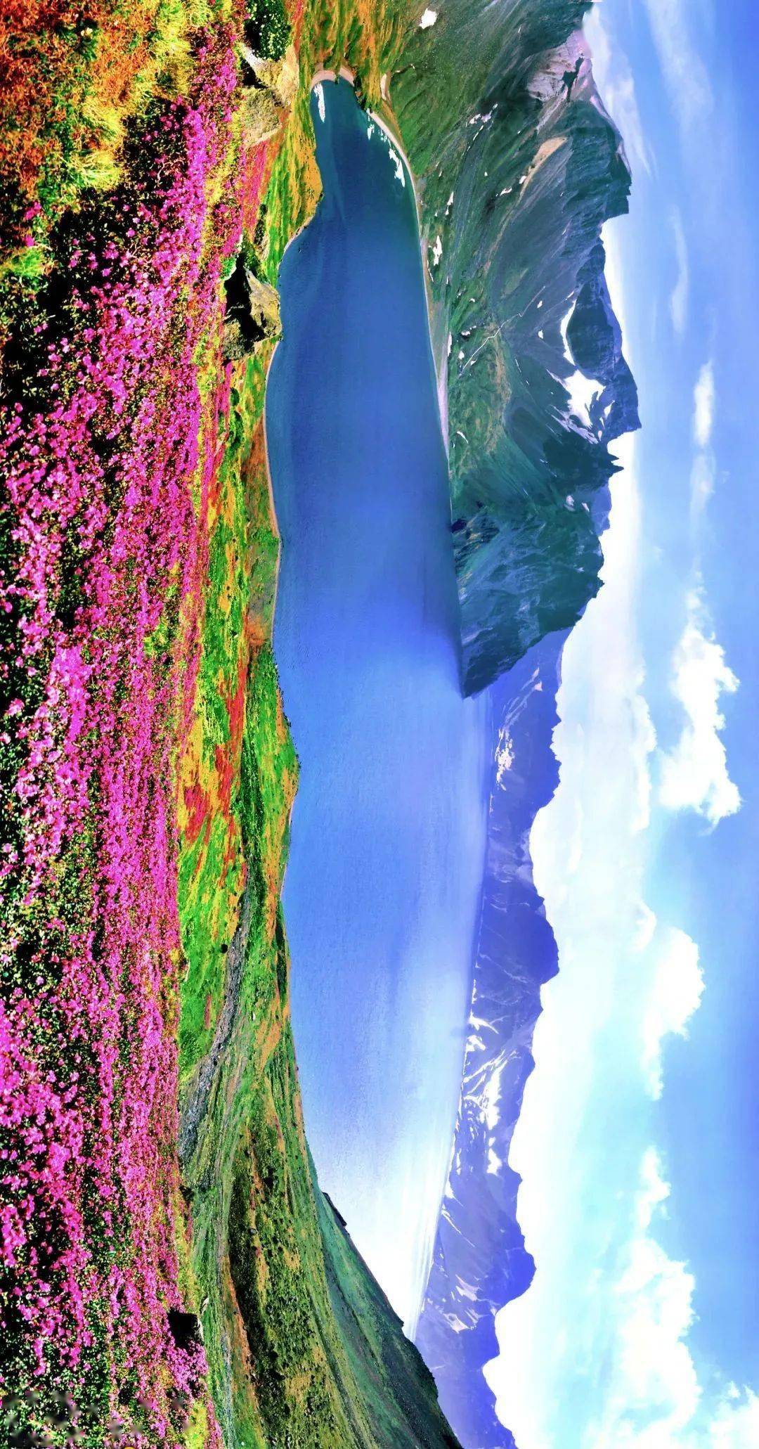 乍暖还寒最美春色送你