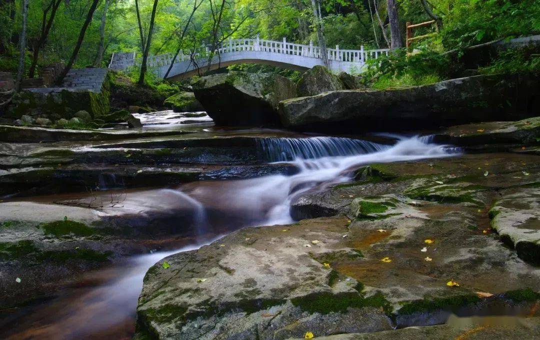 (5月上旬秦岭山花)西安—柞水—镇安路·旅游起程跟着文旅君一起看看