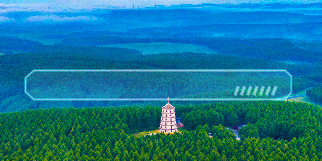 冀生态丨湿地生态美春至候鸟归