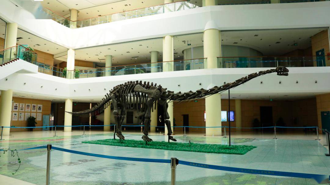 周末漫游记一起去防城港博物馆开启一段趣味十足的奇遇吧