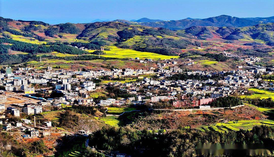 春天走罗平,松毛村油菜花风景美到爆_梯田_马街镇_云南