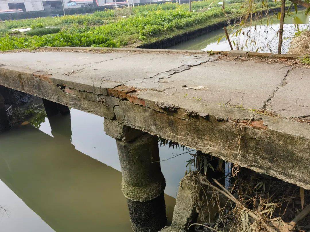 醉美枫泾周周帮桥体老旧存隐患来看看这里的村民反映了啥